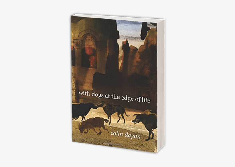 “stimulating And Lyrical, Her Book Suggests A Unique, - Dogs At The Edge Of Life, transparent png download