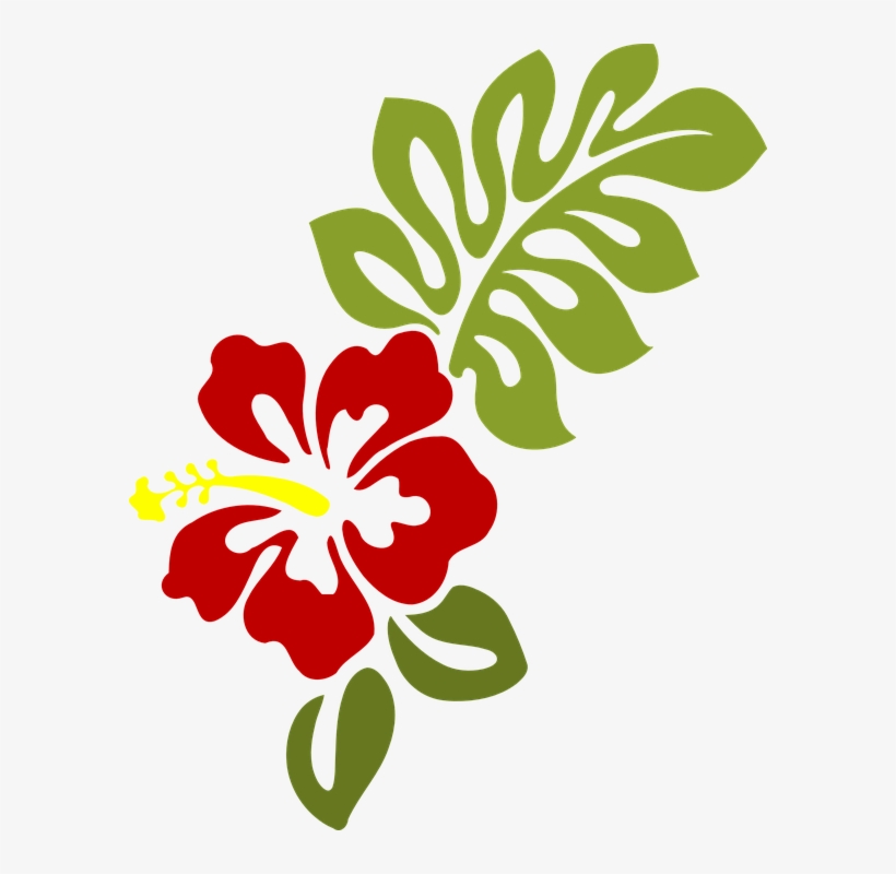 Leaf Png Transparent Images - Hibiscus Clip Art, transparent png download