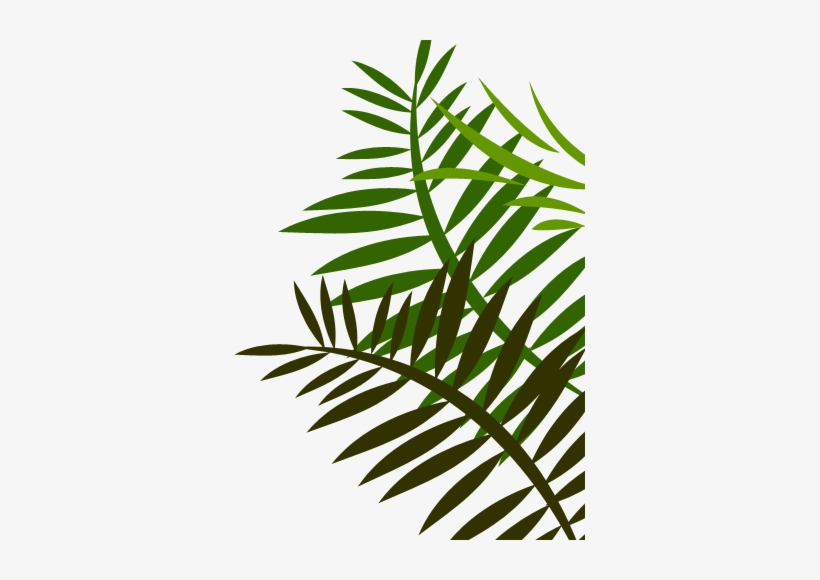 Red Fern Leaf Shower Curtain, transparent png download