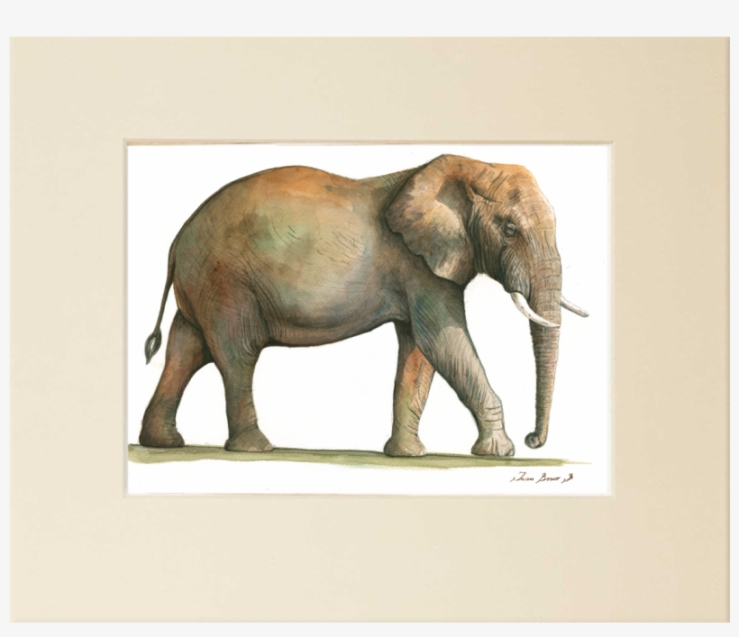 Watercolor - Painting, transparent png download