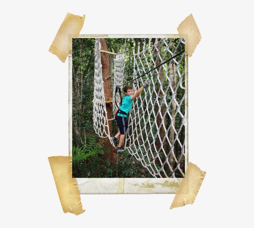 20m Above The Ground Will You Be Able To Handle The - Net, transparent png download