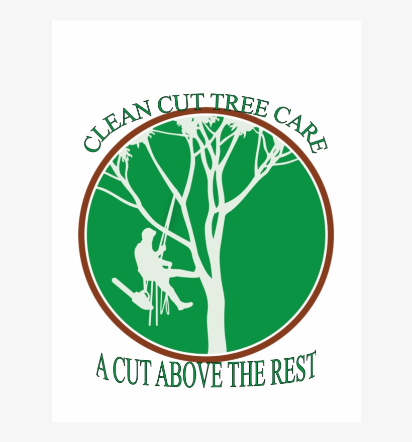 Clipart Tree Climbing, transparent png download