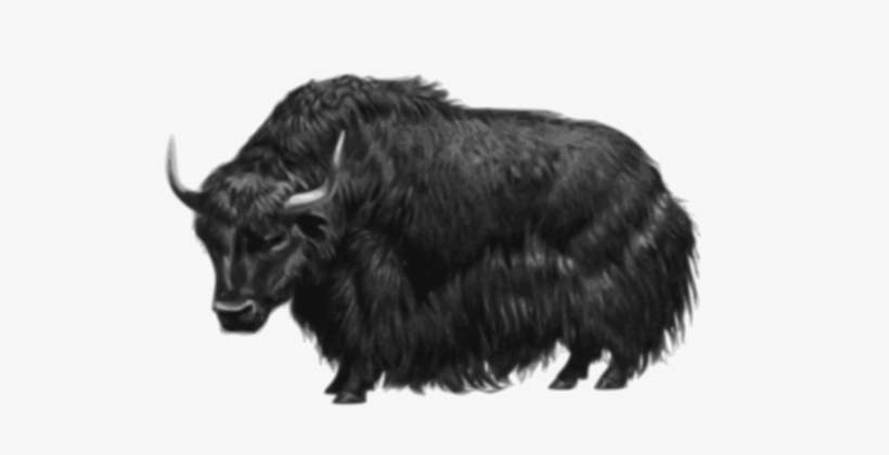 Banner Black And White Bison Clipart Wild Buffalo - Yak Png, transparent png download