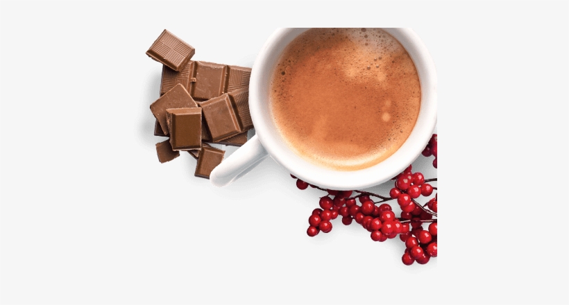 Holiday Tours, Inc., transparent png download