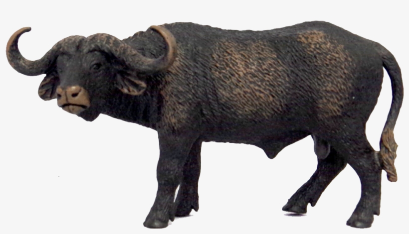 Schleich African Buffalo, transparent png download