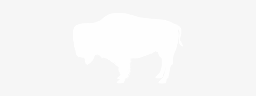 Bison, transparent png download