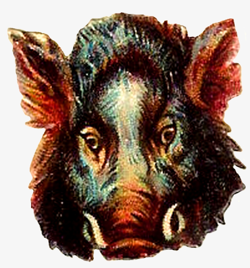 Buffalo Clipart Png - Clip Art, transparent png download