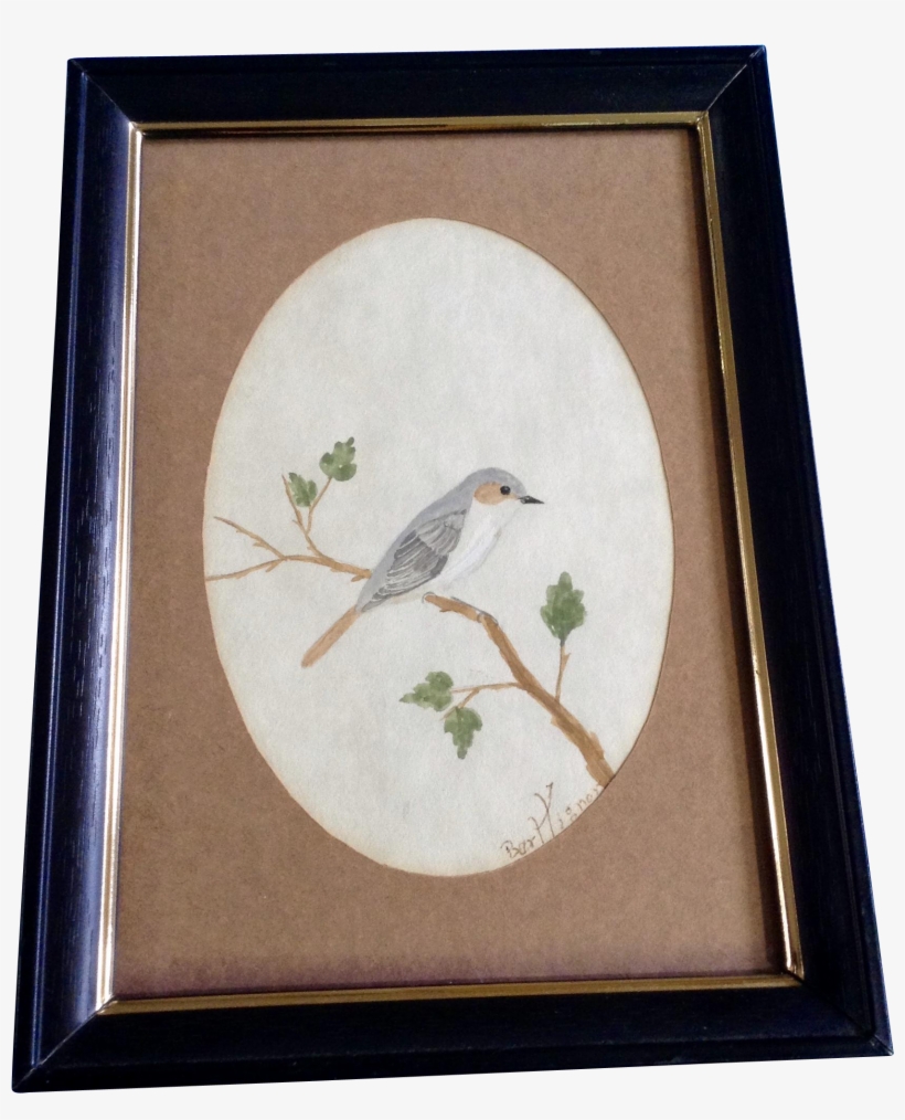 Bart Tignor, Finch Bird On A Branch Watercolor Painting - Picture Frame, transparent png download