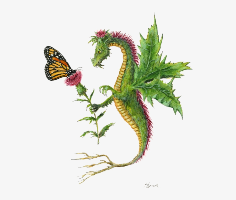 "dragon Art""flower Dragon" A Thistle Dragon Gives - Flower Dragon, transparent png download