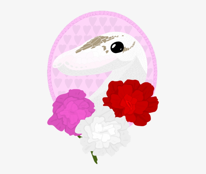 Nush@uni On Twitter - Illustration, transparent png download