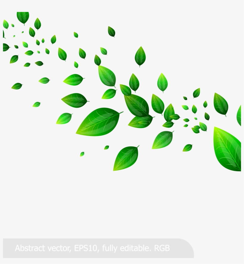 Leaf Clip Art - Clip Art, transparent png download