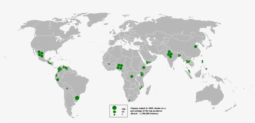 Map Of Papaya Output In 2005 - World Map China Germany, transparent png download