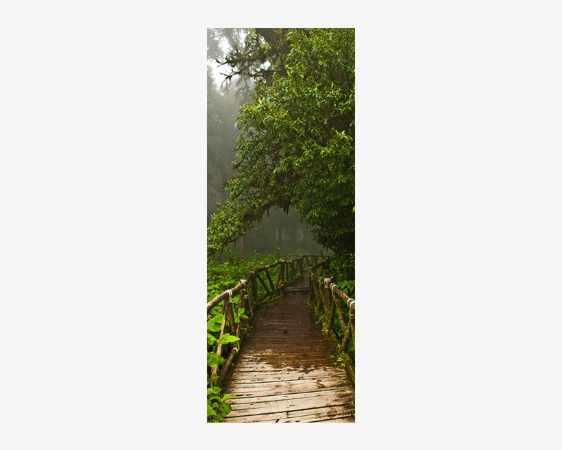 Tarzan Jungle Door Mural Landscapes & Nature Eazywallz - Jungle, transparent png download