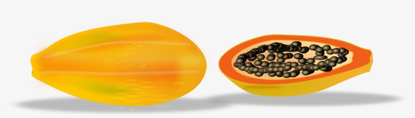 Free Vector Papaya Sliced - Papaya Vector Free Download, transparent png download