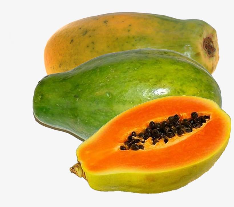 Papaya Free Cut Out - Example Of Seed Bearing Plants, transparent png download
