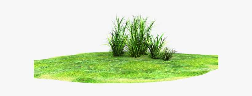 Wonderful Grass Accent By Madetobeunique On Deviantart - Grass Land Png, transparent png download