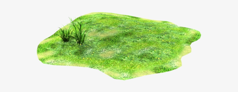 Light Of Stock Grass Png By Madetobeunique - Patch Of Grass Clipart, transparent png download