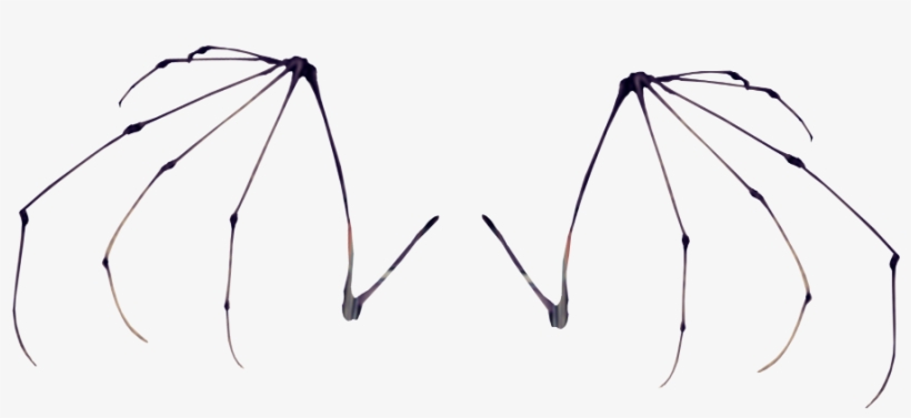 Skeleton Bat Wings Bonesfreetoedit PNG Image | Transparent PNG Free