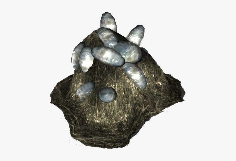 Pile Of Cazador Eggs, transparent png download