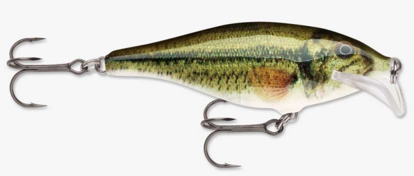 Rapala Scatter Rap Shad Yellow Perch 2" X 2" Lure Scrs05lbl, transparent png download