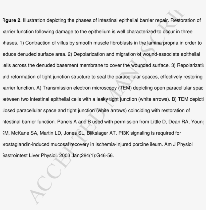 Schematic Diagram For Comparison Of Murine, Porcine, transparent png download