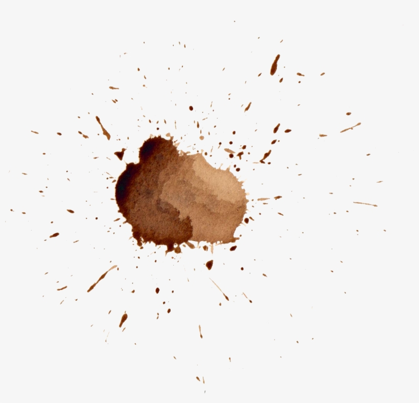 Free Download - Macro Photography, transparent png download