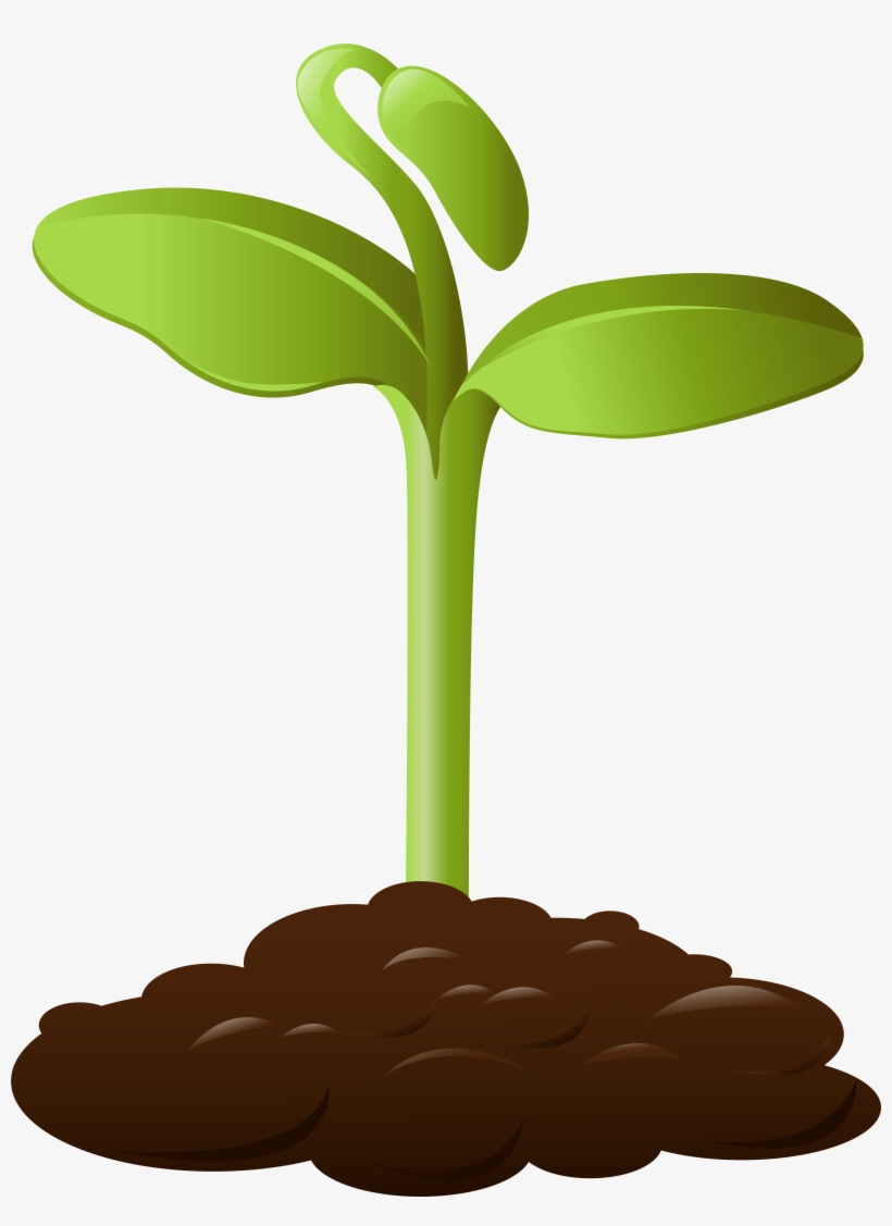 28 Collection Of Plants Clipart Transparent Background, transparent png download