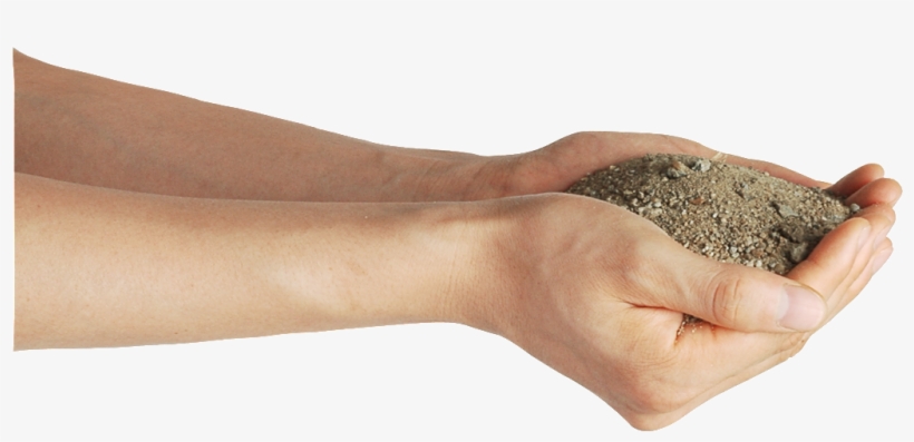 Two Hands Soil High Definition Treasure - Plant A Tree Poster, transparent png download