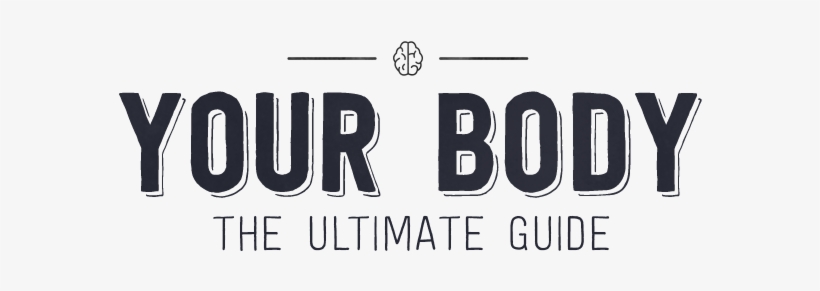 From Trump's Comb-over To The Bieber Pompadour, The - Product, transparent png download