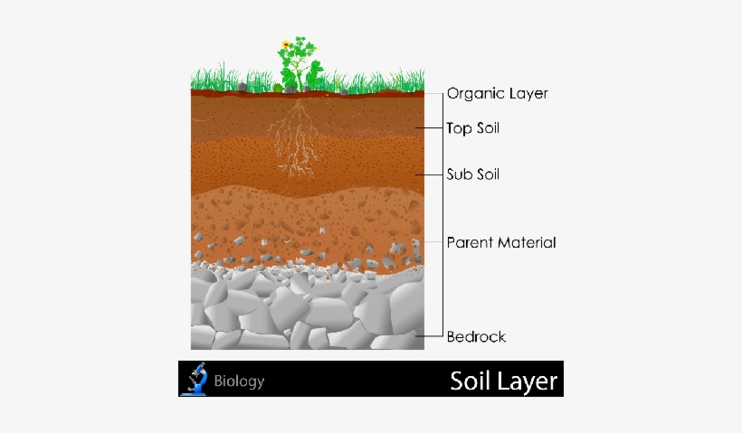 Soil Texture Png Basketball Jump Ball - Diagram Of Layers Of Soil PNG ...