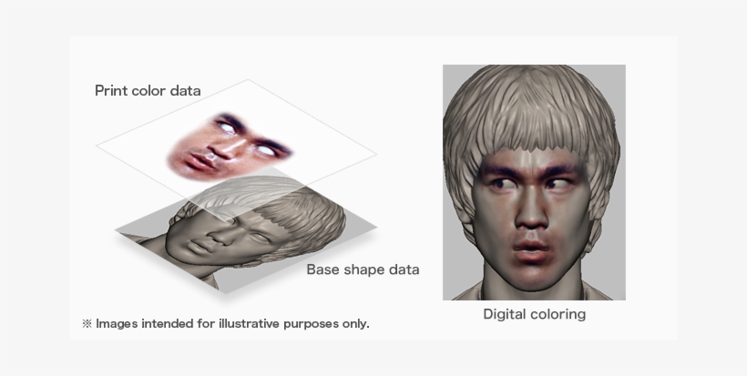 フェイス - フェイス - Sh Figuarts Face Printing, transparent png download