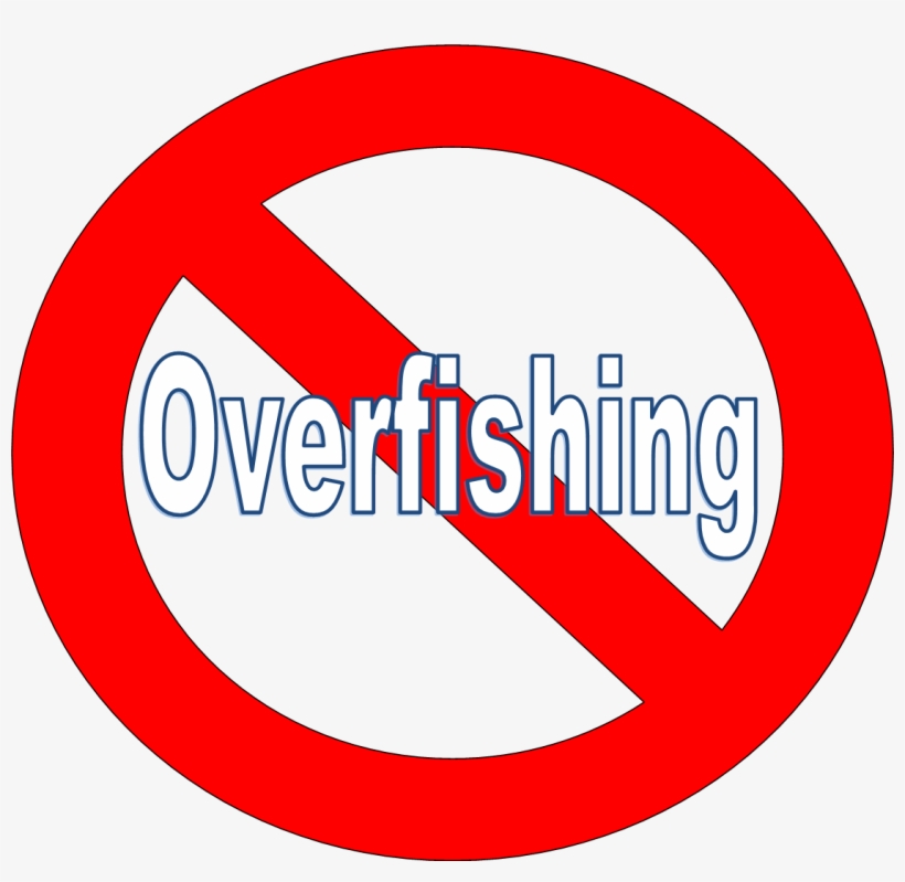 Picture1 - Blocking, transparent png download