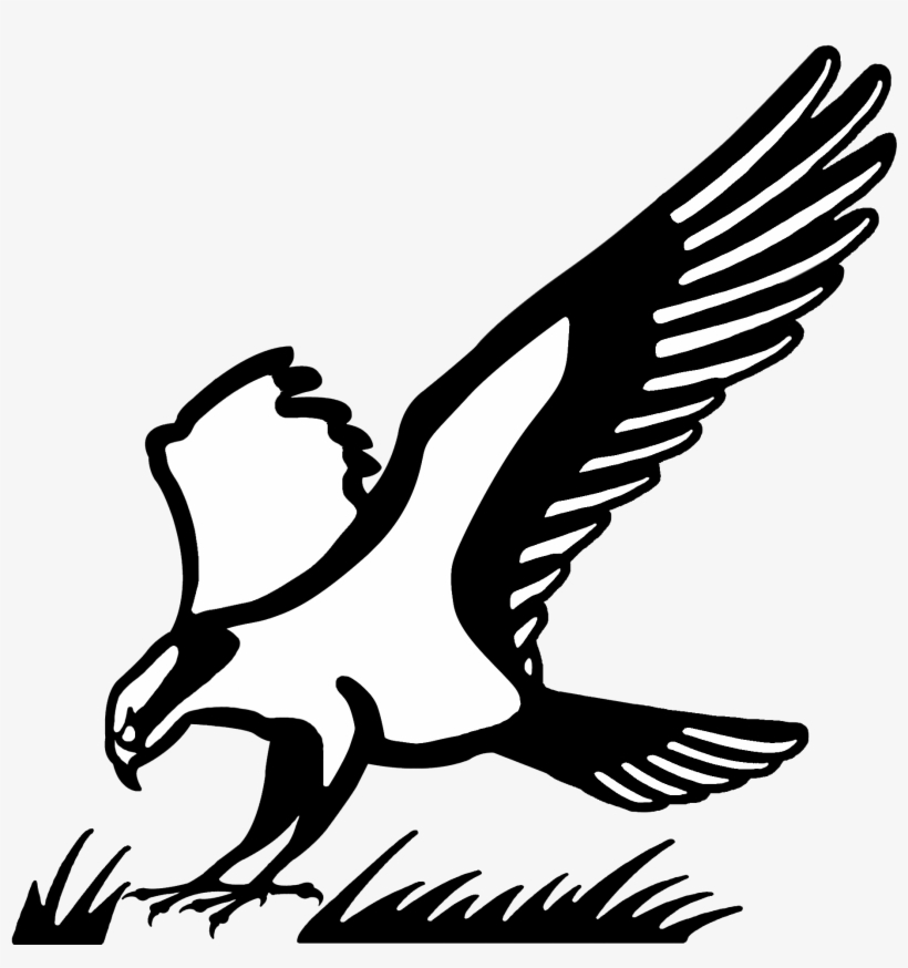 Hawaii Luau Night - Osprey Clip Art, transparent png download