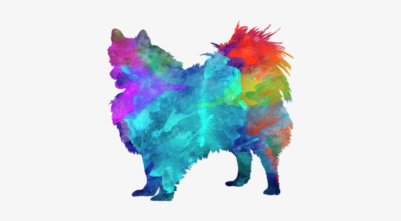 Pomeranian In Watercolor By Pablo Romero - Pomeranian In Watercolor, transparent png download
