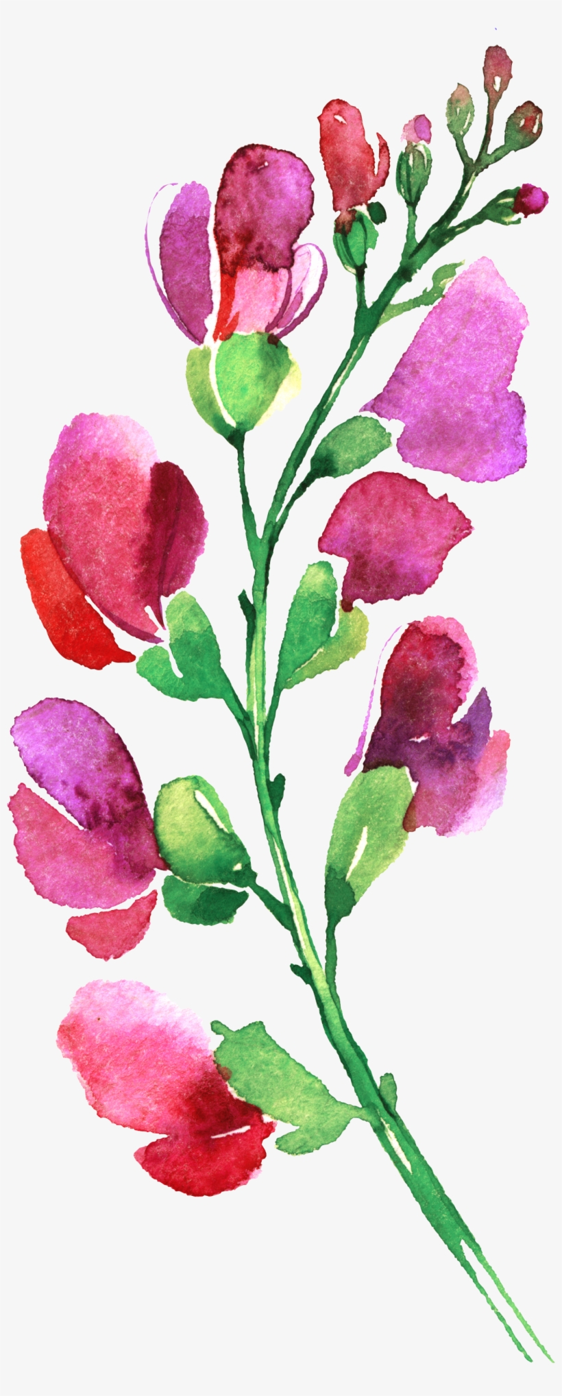 Pin By Hannah Erke On Art In 2018 - Hübsche Rosa Und Lila Blumen Danken Ihnen Karte, transparent png download
