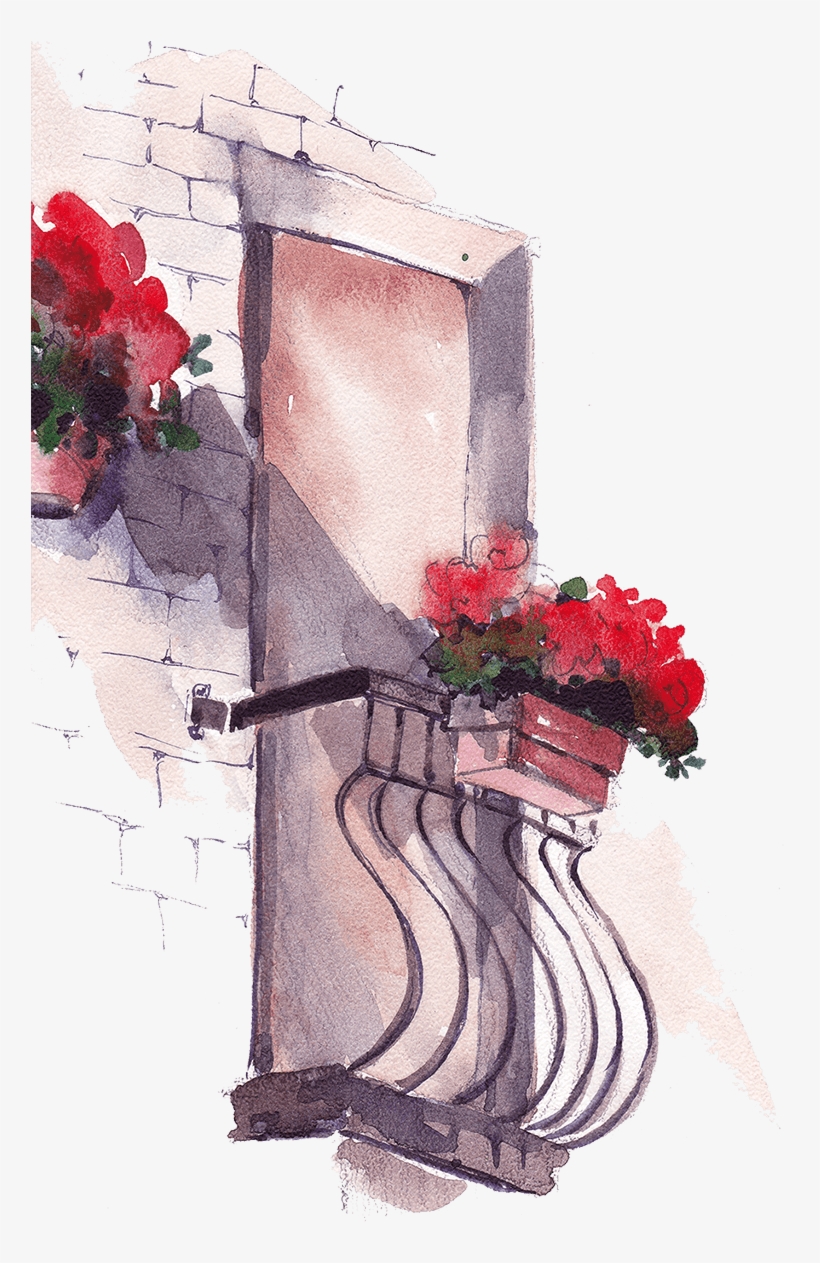 Take A Look Locations Image Locations Image - Garden Roses, transparent png download