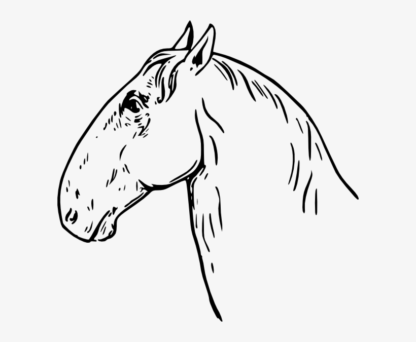 Free Vector Ram Headed Horsehead Clip Art - Horse Headed, transparent png download