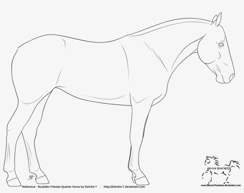 Friesian Quarter Horse Lines 2012 05 03 By Blood Huntress - Horse, transparent png download