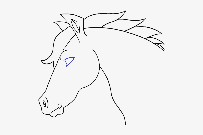 How To Draw Horse Head - Horse, transparent png download