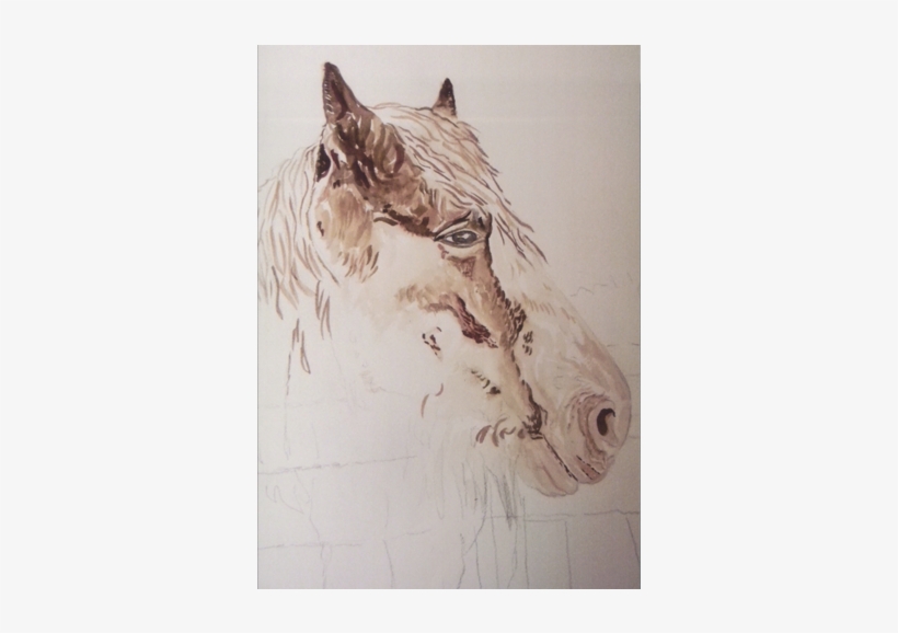 Horse, Artwork - Horse, transparent png download