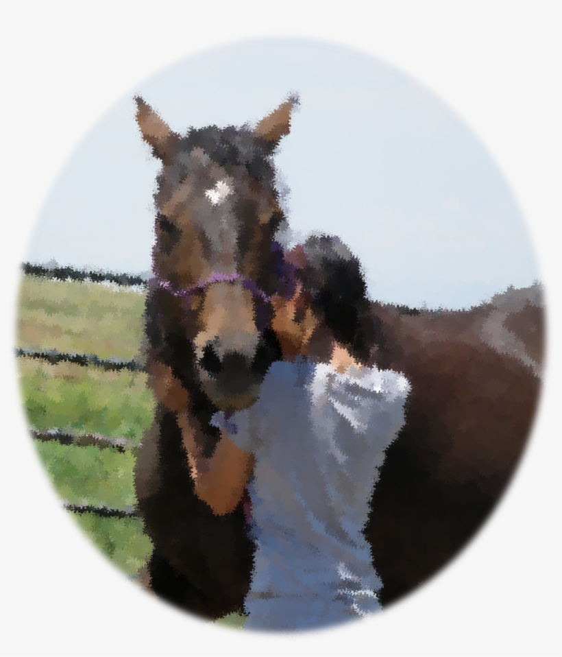 Blur - Eurasian Red Squirrel, transparent png download