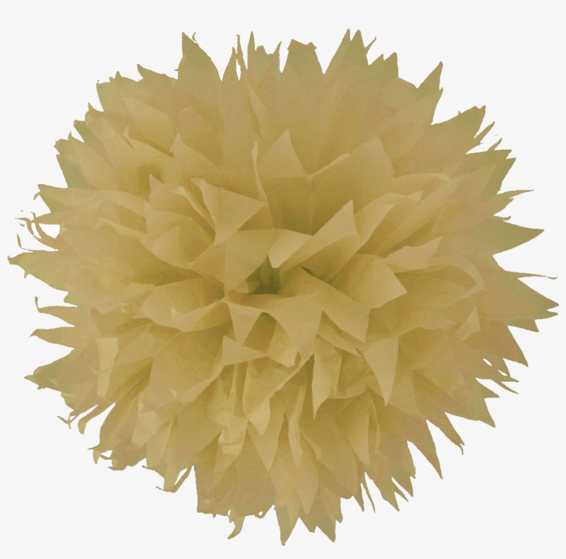 Pompon Papier De Soie Fleur Écru, transparent png download