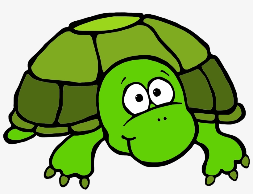 Turtle Clipart In Png, transparent png download