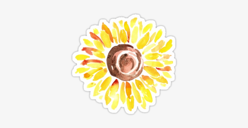 Beautiful Sunflower Painted With Watercolors • Also - Chenara Dodge, transparent png download