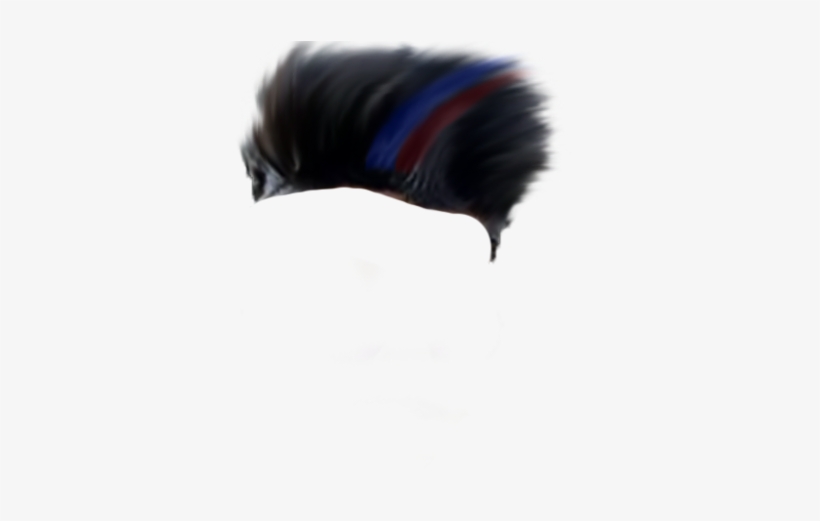 Turkey, transparent png download