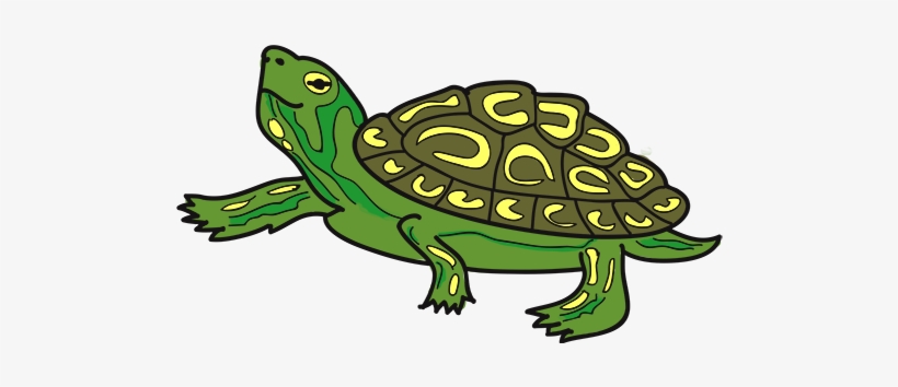 Pet Shop Boston - Clip Art, transparent png download