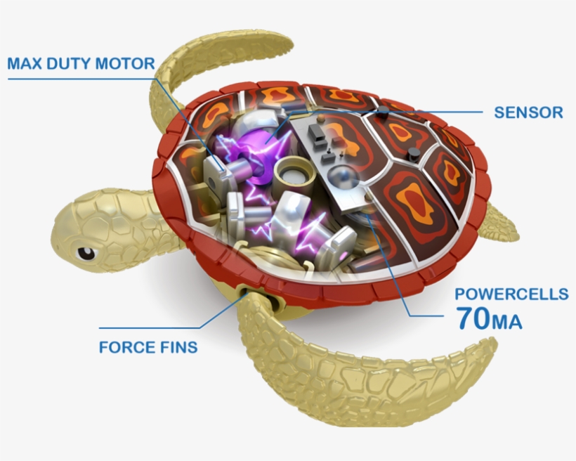 Turtle Clipart Png - Toy, transparent png download