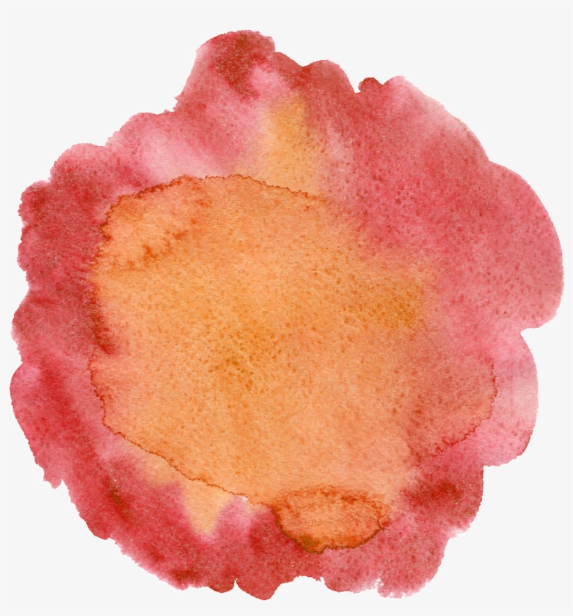 Orange Red Hand Painted Cartoon Vegetable Kitchen Transparent - Portable Network Graphics, transparent png download