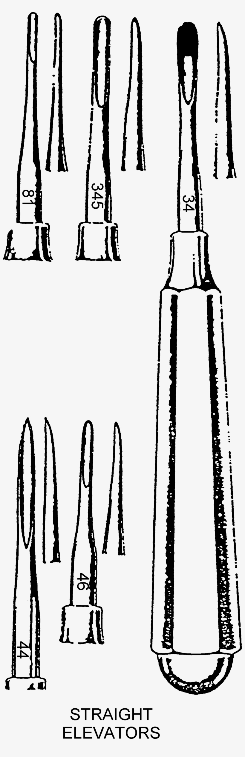 The Beaks Of The Forceps Are Designed To Firmly Grasp, transparent png download