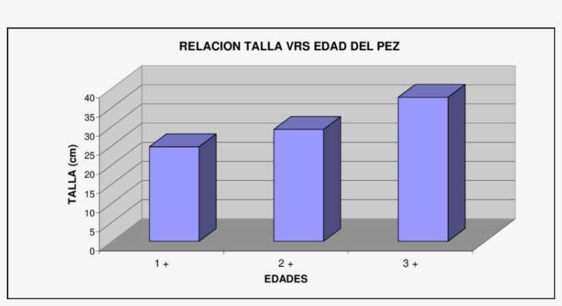 Figura N°, transparent png download